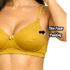 Teebuyindia B-14-Stay-Cool Foam Layered Bra (Pack of 3) B cup, Non Padded, Thermo Control Bra B-14-Stay-Cool Foam Layered Bra (Pack of 3) B cup, Non Padded, Thermo Control Bra