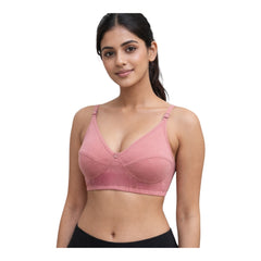 Lifting Bra (pack of6) B cup, Non padded, Seemlined cups